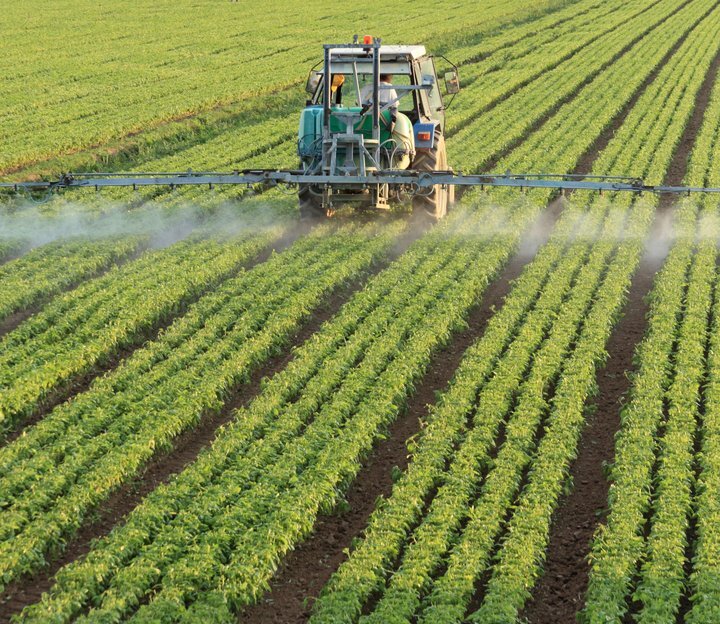 Ammonia N2O abatement