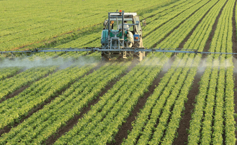 Green ammonia