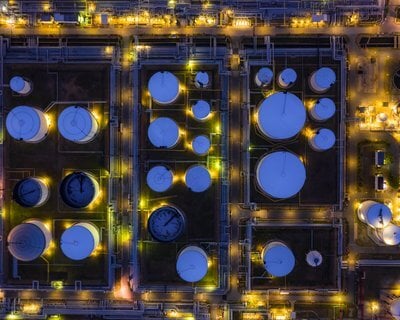 Plant from above
