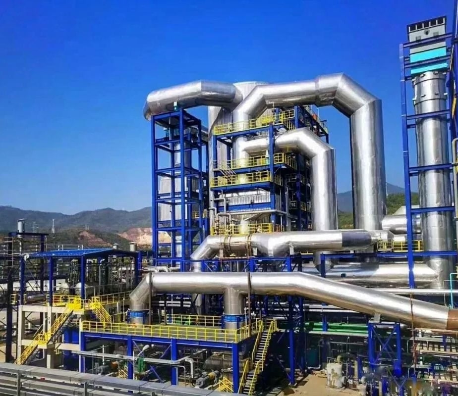 WSA plant